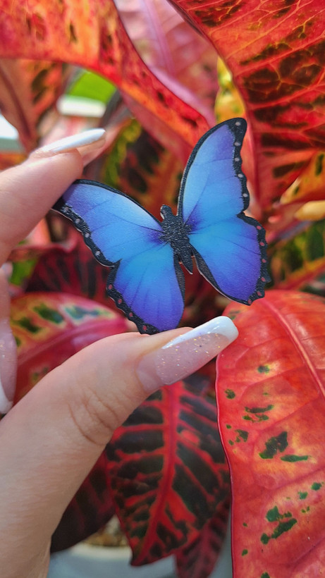 پک گیره مو طرح پروانههای رنگی (Butterfly Hair Clips)