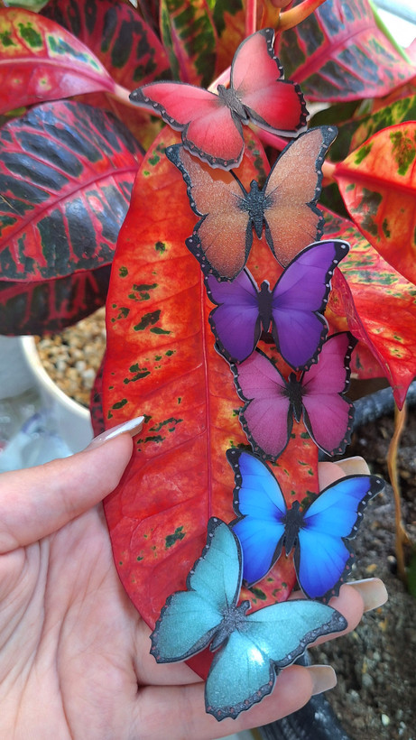 پک گیره مو طرح پروانههای رنگی (Butterfly Hair Clips)